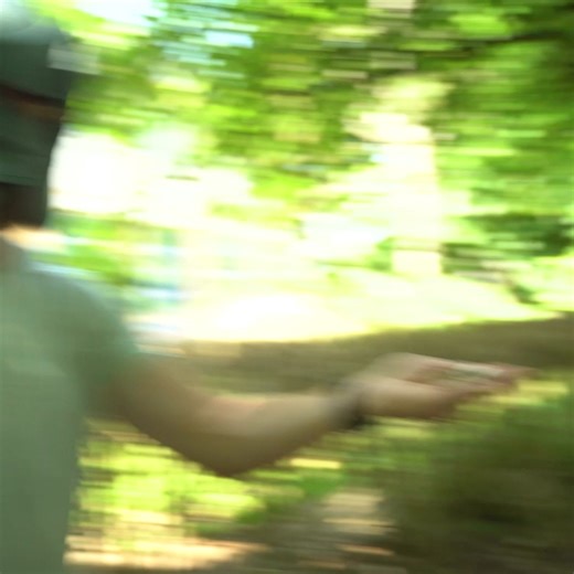 19K views · 102 reactions | The quest points are the reward silly! | Old School Runescape | Facebook