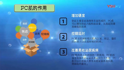 渐进式延时训练pc肌锻炼方法指导【辰威锻炼手册】