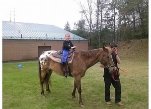 Fun Fair 2016  - May 14, 2016