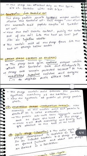 Lytic and Lysogenic cycle of Bacteriophage