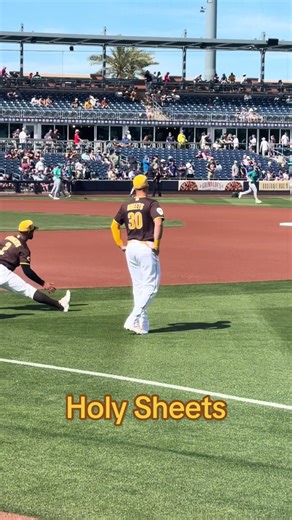 Understanding MLB: More Than Just Baseball