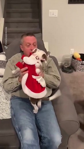 The BEST surprise 🐶 (@Marisa Meyer) #fyp #foryou #foryoupage #dogsoftiktok #tiktok #surprise #puppy