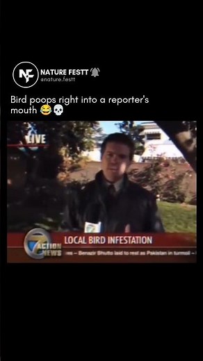 bird poops into a reporter's mouth 😂💀😭