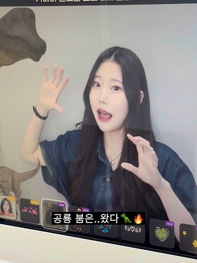 공룡 라이브필터 체험 후기