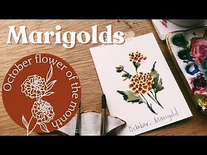 Watercolor marigold - October birth month flower
