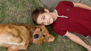 A Dog's Purpose | Release Date, Reviews, Cast, and Where to Watch
