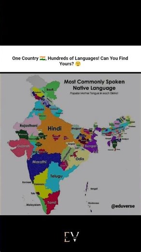 This Map Shows India’s REAL Language Diversity 🤯 #shorts #short