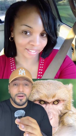 71K views · 1.9K reactions | #Mississippi #monkeys #infection | World News | Facebook