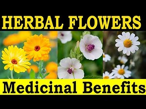12 Medicinal Herbal Flowers and their Traditional Benefits
