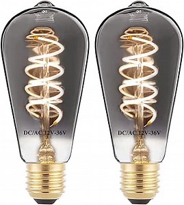 SHUWDKAR 12V Edison Bulb Low Voltage Warm White 2700K E26 Base, DC/AC 12V 24V 36V LED Light Bulbs 40W Equivalent Smoky Grey Glass for RV Camper, 2 Pack