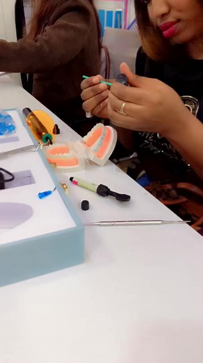 Dental Education Demonstration with Colorful Model