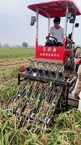 garlic harvesting #reelinstagram #agriculturemachine #farmer #machine #agriculture #farmerlife #fifaworldcup2022 #cr7 #talabat #viral | Bargachhi Krishi Farm