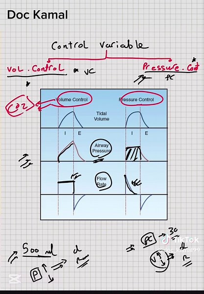 #دكتور_كمال #تعليم_طبي #طب #تمريض #medicalstudent #علاج_تنفسي #مصر #medicalstudent #ecg