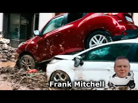 Compensation Payments Start for SWD-Affected Vehicle Owners: What You Need to Know