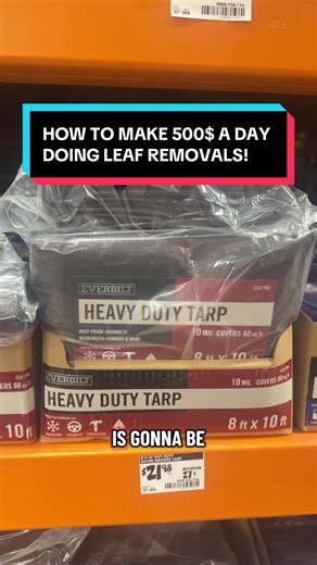 Leaf Removal Tips for Earning Extra Income