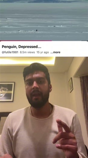 The truth behind the viral PENGUINE Meme 💔#viral #memes #trending