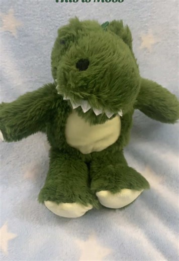 Moss🦖 #plushies #stuffedanimals #plushtoys #stuffies #dino #dinosaur