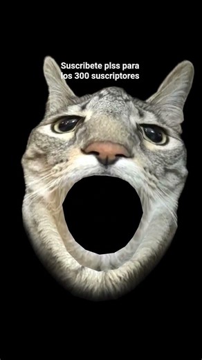 ayúdame plssss