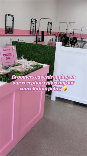 Hilarious Moments at the Dog Grooming Salon