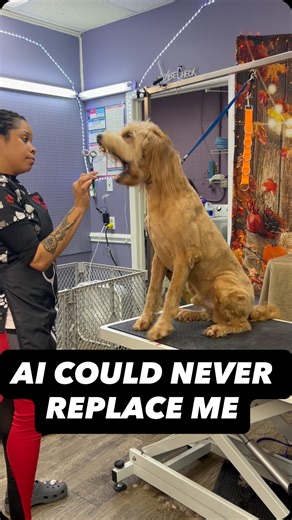 Charlotte Dog Groomer Kiara Barrino | I always look back at this video and I’m so thankful to have a profession where each and every individual client has a special story and... | Instagram