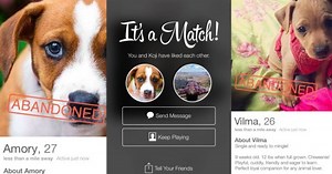 Rescue Campaign Puts 10 Abandoned Dogs on Tinder, Gets 2,700 Matches in a Week