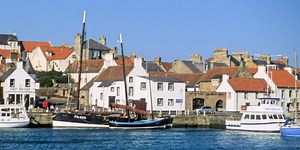 Special Online Film Screening Tells “An Ocean Story” | Fish Focus