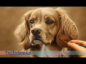 Painting a Cocker Spaniel dog in acrylic - Timelapse Art