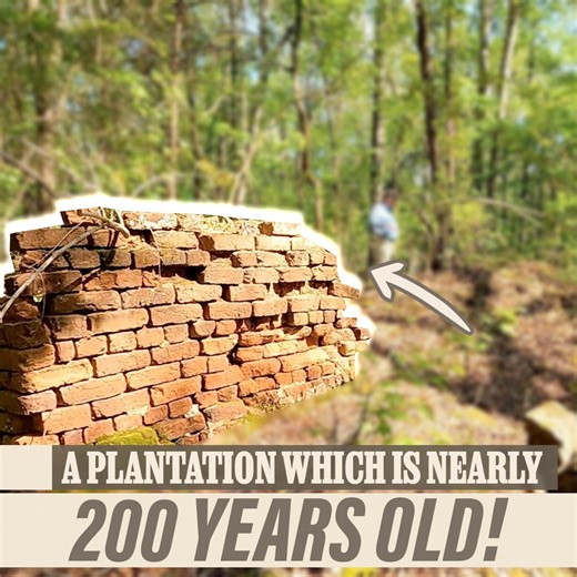 Ruined 187-Year-Old Plantation! | Adventures Into History