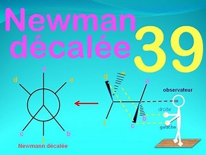 39_ Newman décalée