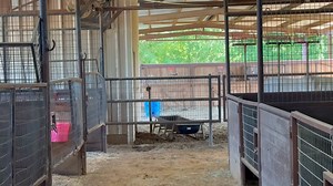 Barrel Racer: Tired of bracing, bouncing, or burning out in the saddle? It’s not your horse. It’s not your reins. It might be your STIRRUPS. Introducing the [No BS Stirrup Coaching Bundle] from Stall High—featuring our Steady Ride Stirrups a 30-minute private foot placement assessment with our Muscle Activation Coach. This isn't another gimmick. It's biomechanics-backed, performance-proven gear that helps you ride smarter—not harder. Why it works: ✅ Built to anchor the ball of your foot, not the