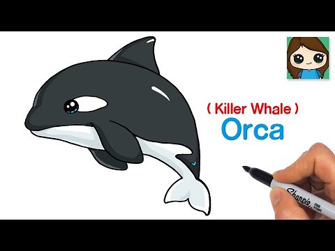 How to Draw an Orca | Killer Whale