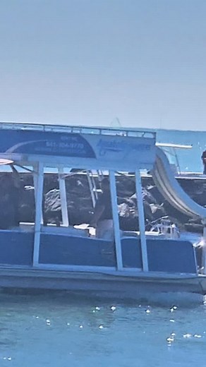 Boating Fun at the Venice Florida Jetty | Florida Boat Adventures