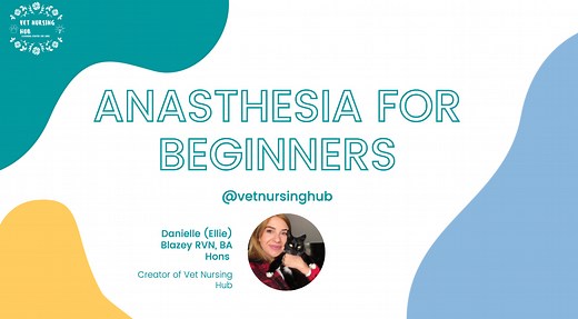 Webinars | Veterinarynursehub