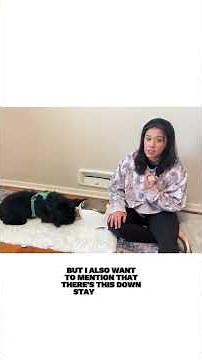 How to use the Petsafe Treat & Train