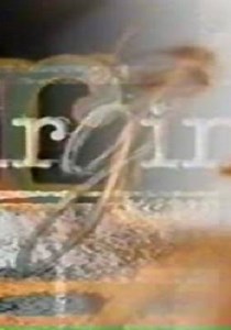 Virginie Season 1 - watch full episodes streaming online