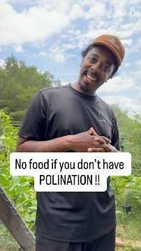 How to grow More food !! #gardening #pollen #homestead