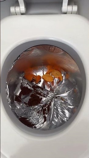 MY FIRST TOILET IN 5 YEARS 😱🚽