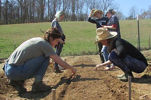 Center for Civic Engagement Revives Alternative Break