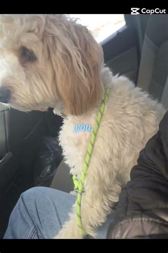 In a room full of people I'd look for you!!