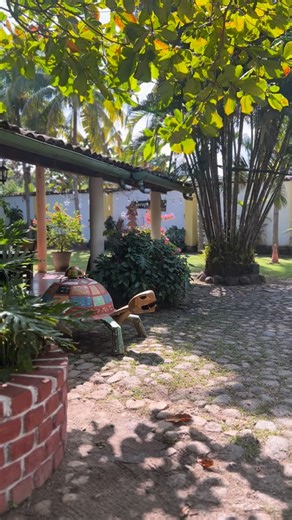 Guazapa cafe Restaurante on Instagram: "Entre senderos de piedra, sombra natural y nuestra querida tortuga que parece cuidar cada rincón 🐢🌿, el café se disfruta distinto… más lento, más auténtico. Aquí la naturaleza acompaña cada momento y hace que el tiempo se sienta en calma. 📍 Guazapa Café Suchitoto 🕗 Sábados y domingos abiertos de 8:00 a.m. a 9:00 p.m. 🥟 Pupusas disponibles a partir de las 5:00 p.m. Un espacio para venir, quedarse y disfrutar ✨"