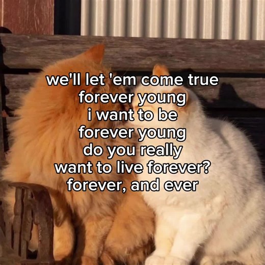 Forever Young Lyrics - One Direction & BLACKPINK | English Songs