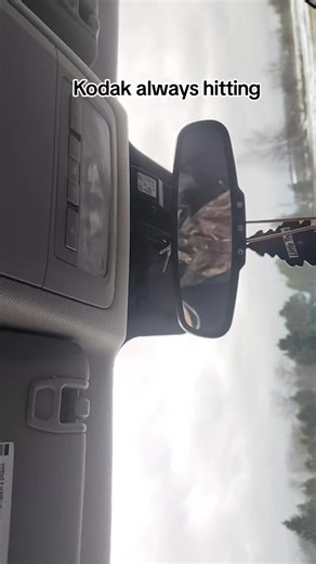 #bass #basshead #audiopipe #cleanaudio