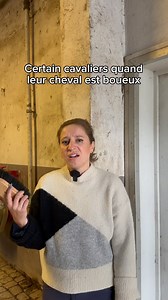 160K views · 2.4K reactions | Le bonheur se mesure en couche de boue  certains* #entresesoreilles #humour #cheval #equitation #ecurie #chevaux | Entresesoreilles | Facebook