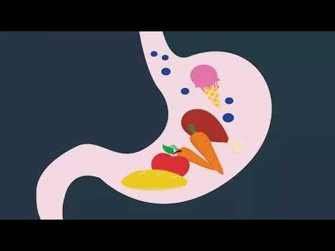 Enzyme Kinetics Video Project Michaelis-Menten Equation