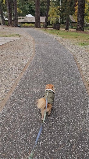 Laura Goodwin on Reels