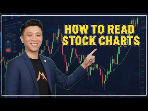 How to Read Stock Charts (COMPLETE Beginner's Guide)