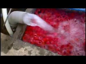 DIY Airlift 40 W air pump - DEMONSTRATION