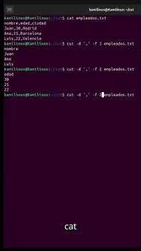 Domina el comando cut: Aprende a extraer datos en Linux #shorts