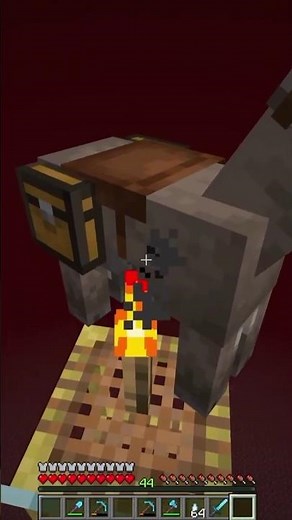 GRIAN KILLS A DONKEY | Hermitcraft Season 11