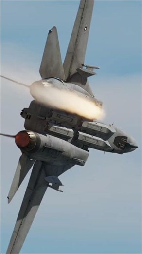 BFM is back! F-14B(U) Upgrade